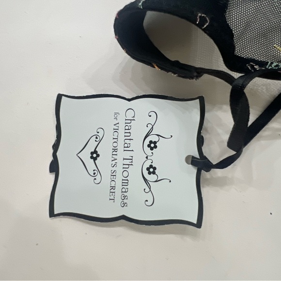 Rare Chantal Thomass Victoria Secret
Y2K Collab Floral Embroidery thong undies - Picture 2 of 3